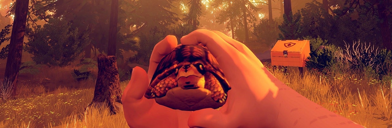 firewatch-how-to-find-and-adopt-a-turtle-youtube